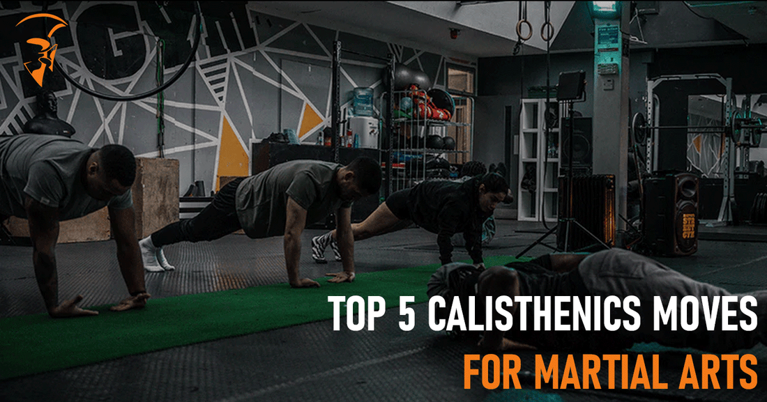 TOP 5 CALISTHENIC EXERCISES FOR MARTIAL ARTISTS